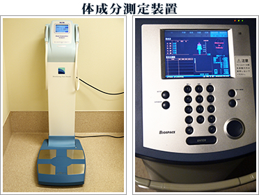 体成分測定装置